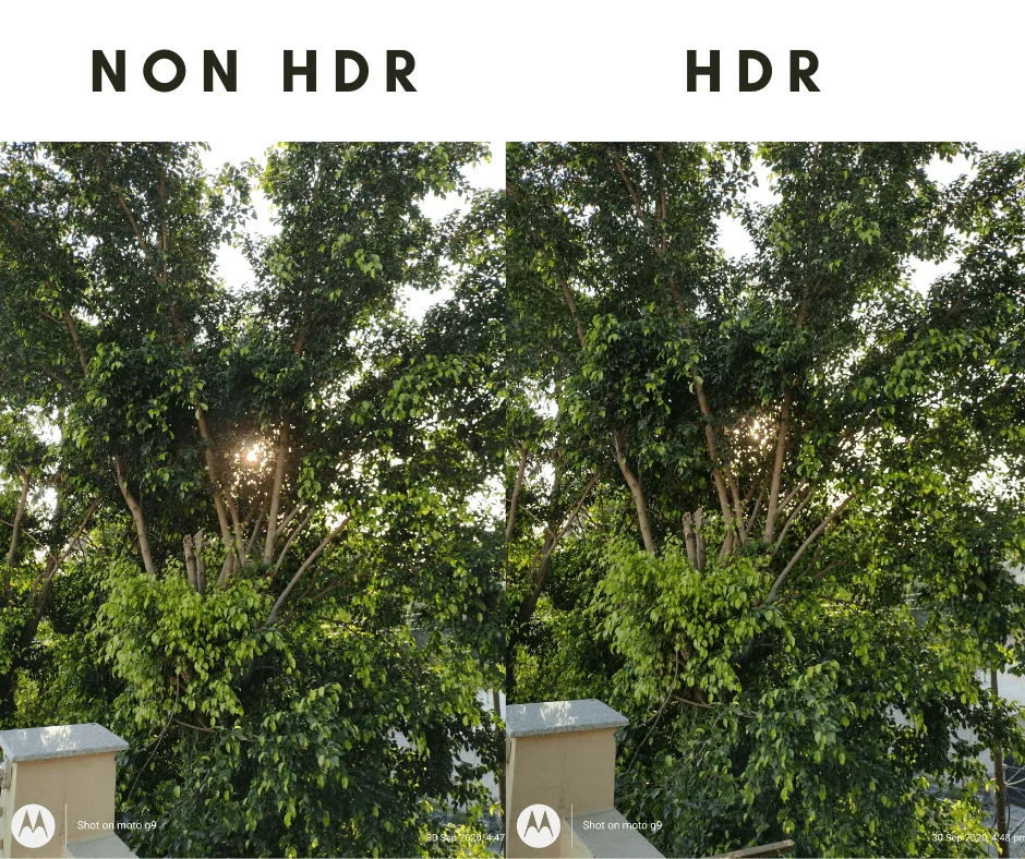 Moto G9 HDR Photos Samples