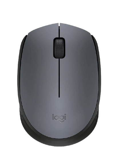 logitech m170 flipkart