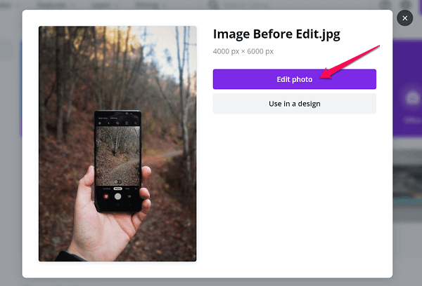 Editing Photo In Canva