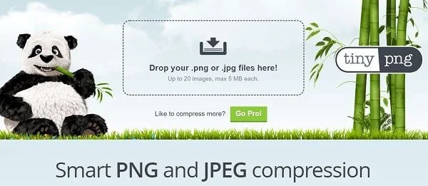 Reduce Photo Size Using Tinypng