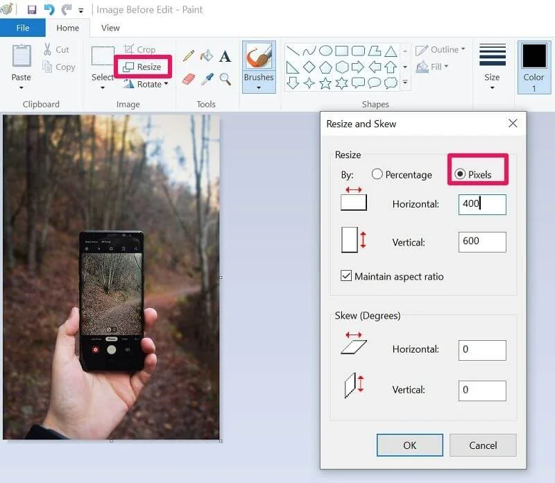 Resizing Photo Using MS Paint