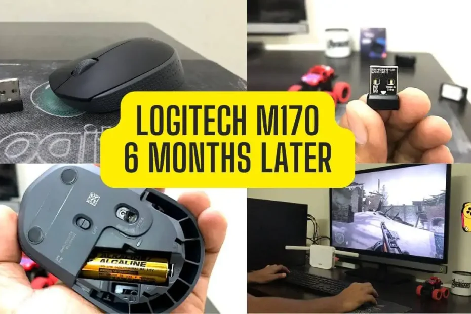 Logitech M170 6 month review