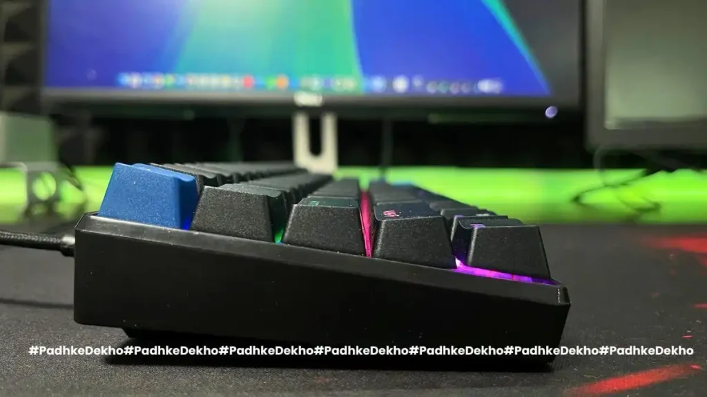 evofox katana s mini review